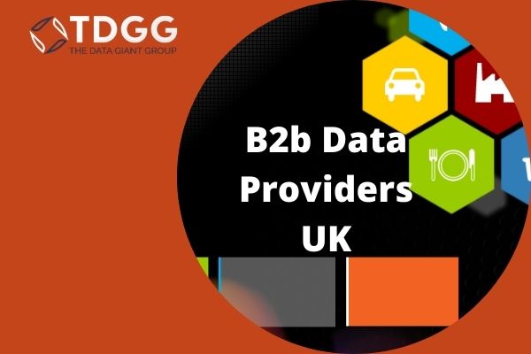 B2b data providers UK