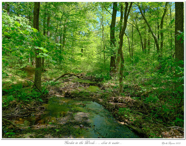 Garden in the Woods: ... close to water...