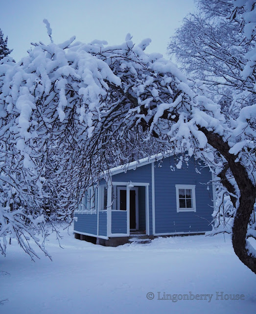 lingonberryhouse, winter, leisure home, talvi, sininen hetki, mökki, lumi