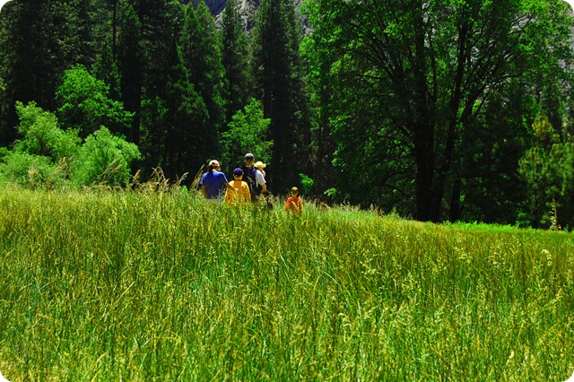 yosemite (22)