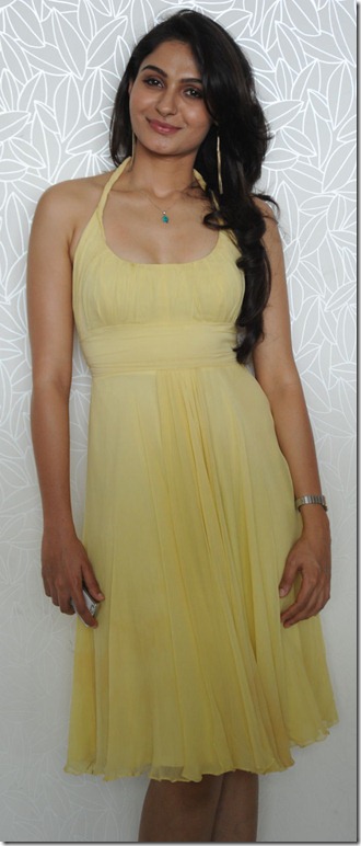 andrea_jeremiah_stylish_photo