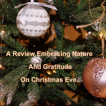 Related Review Image