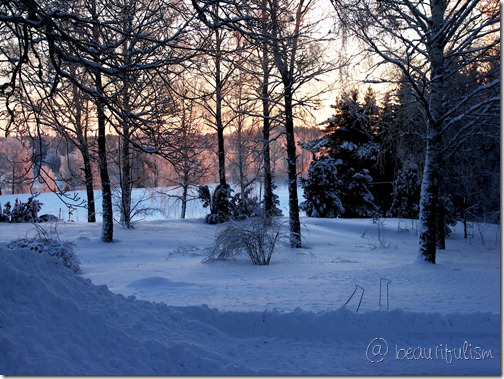 morning light