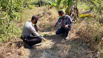 Niat Mencari Tempurung Kelapa, Warga Sui Kunyit Temukan Mayat di Kebun
