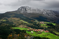 Gorbea