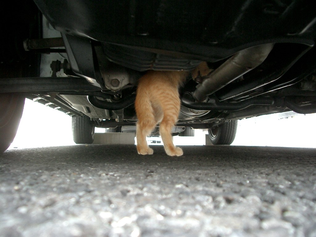 2ch Scまとめ エンジンルームやボンネットに猫が入り込む季節 日産が乗車前の 猫バンバン を呼びかけ Web Carlog 2ch Scまとめ エンジンルームやボンネットに猫が入り込む季節 日産が乗車前の 猫バンバン を呼びかけ Web Carlog