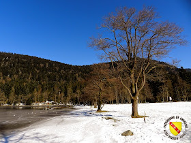 XONRUPT-LONGEMER (88) - Le lac de Longemer gelé !