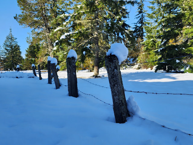 sunny, pretty day, with lots of snow. Snow on posts