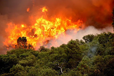 ZACA Fire PICTURE