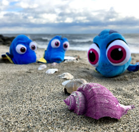 baby dory plush