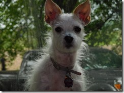 IMG_2157