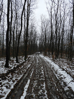 Lejjebb kevesebb volt a hó, de az út még fagyott volt