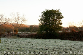 Frosty morning in Cornwall
