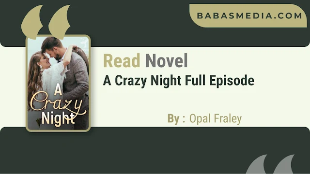 Cover A Crazy Night Novel By Opal Fraley