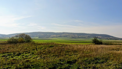 Zdjęcie:
