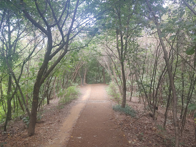 강동그린웨이