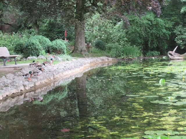 Campingplatz Camping Illertissen: Hier ist der Stadtweiher von Illertissen