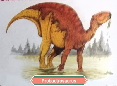 PROBACTROSAURUS (Foto : SP)