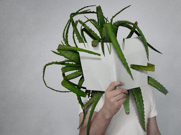 The Power of Books - fotos de Mladen Penev