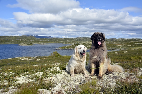 Bergsjøen rundt Vats Hallingdal