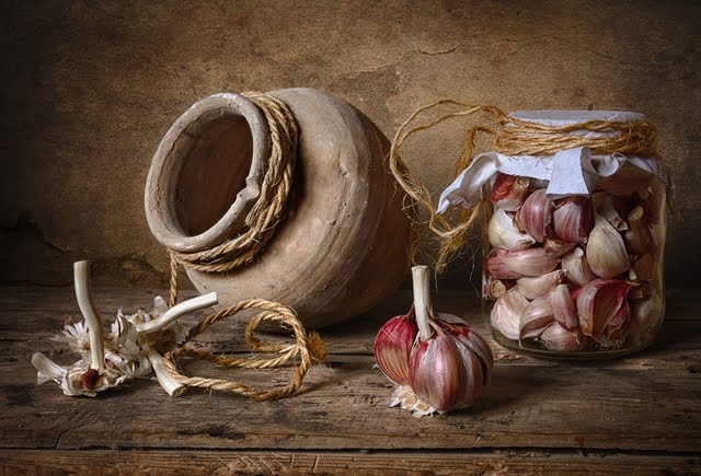 beautiful still life photography