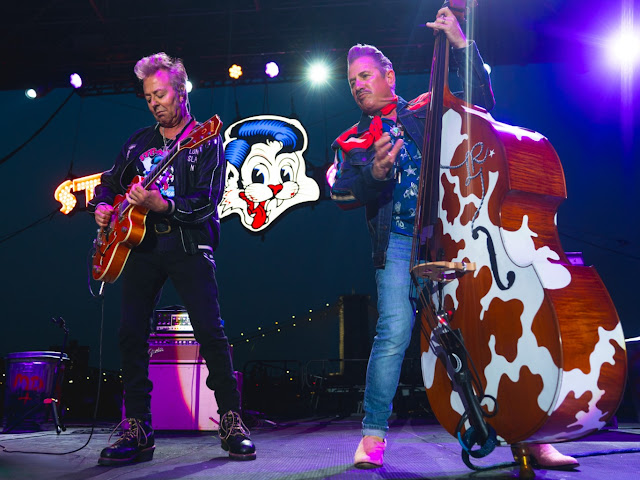 Stray Cats at the Rooftop at Pier 17 (photograph by Ryan Muir)