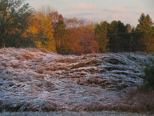 first snow