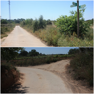 SANTA OLIVA CAMÍ DELS TURONS + CAMÍ DEL CAMP DE COLL - ESGLESIA DE SANT MIQUEL - RIERA DE SANT MIQUEL, Camí de Santa Oliva a Saifores dins del terme municipal de Banyeres del Penedès - Baix Penedès