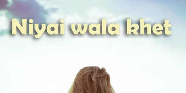 Niyai wala Khet Meaning Punjabi Word Meaning in English