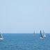 Freee Royalty Free Yacht Race Stock Image