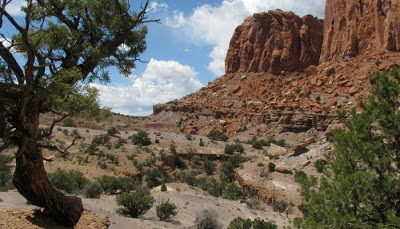 Chimney Rock Trail i Capital Reef National Park i Utah.