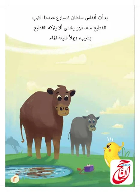 قصص القران