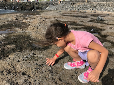 Child playing with fossils on a rocky beach