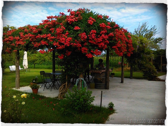 Foto 2a