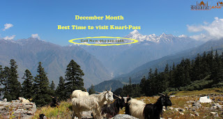 https://www.bhaaratyatra.in/kuari-pass-trek