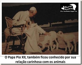 papa_ama_gatos (13)