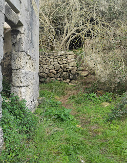 Al fondo acceso al camino de la cueva