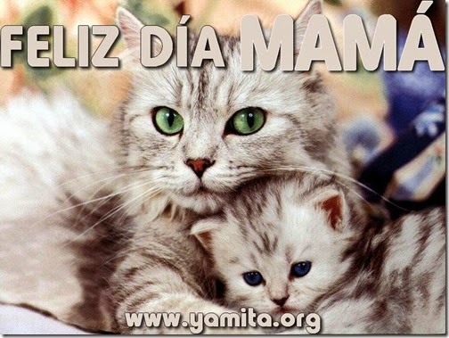 dia de las madres (27)