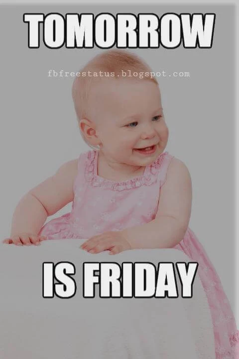 Funny Thursday Quotes to be Happy on Thursday Morning thursday funny quotes