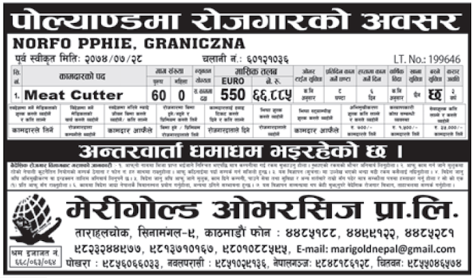 Jobs in Poland for Nepali, Salary Rs 66,885