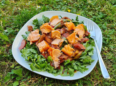 Grüner Salat mit Rhabarber und Stremellachs