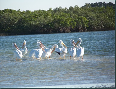 1.06.09 to Ponce Inlet 031