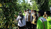Kecamatan Ulubelu dan Airnaningan jadi Proyek Percontohan Family Farming 