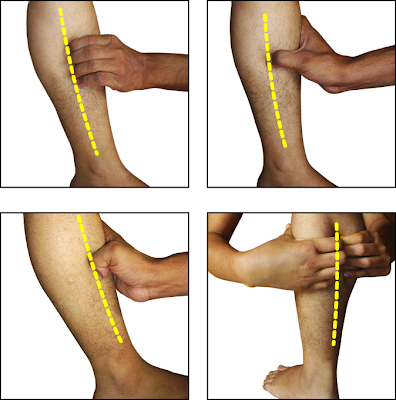 Acupressure : Cure Without Medicine: Introduction to the Acupressure 