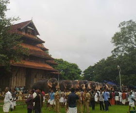 aanayoottu thrissur|aanayoottu kerala|vadakkumnathan aanayoottu|aanayoottu at sree Vadakkumnathan siva temple|elephants in kerala|elephants in thrissur|elephants in Thrisivaperoor|eye images