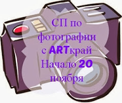 СП по фотографии