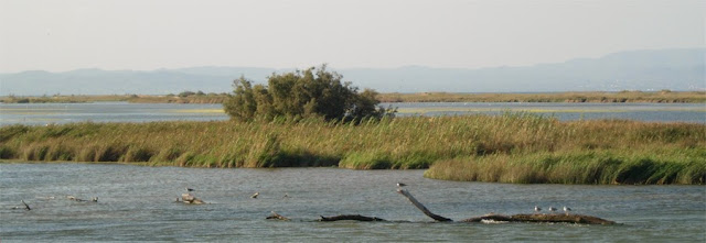 Delta del Ebro