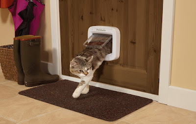 cat flap door