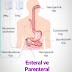 Enteral ve Parenteral Beslenme