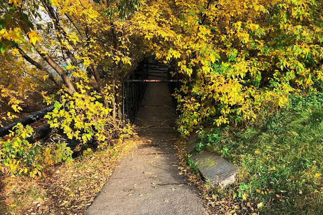 Дорогобужская улица, пешеходный мост через реку Сетунь | Dorogobuzhskaya ulitsa, pedestrian bridge over the Setun River